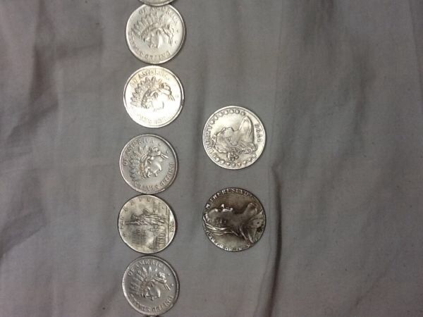 Silver-Dollars-Help